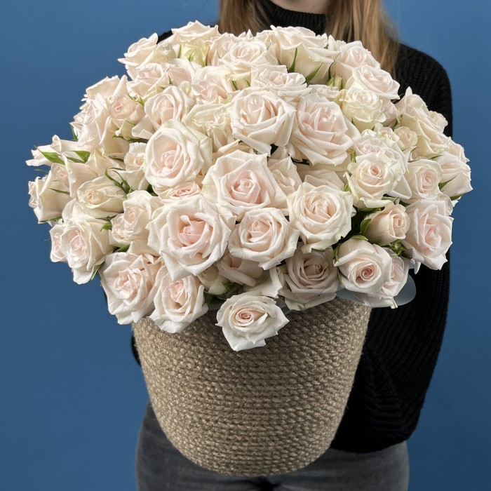 25 кустовых роз Роял Порцелина в кашпо